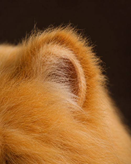 Hand-painted markings