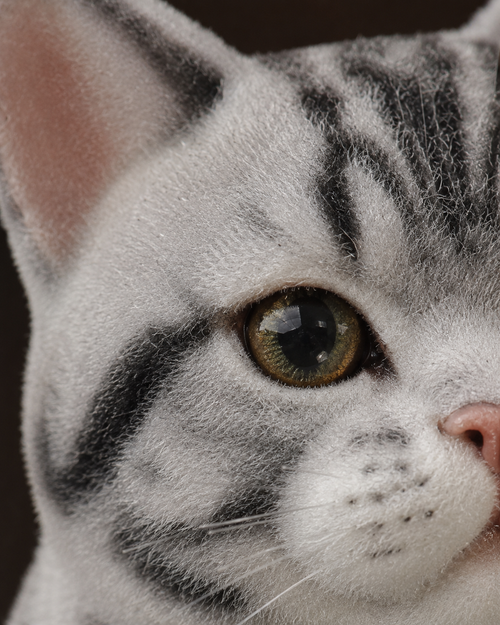 Lifelike eyes